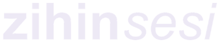 zihinsesi